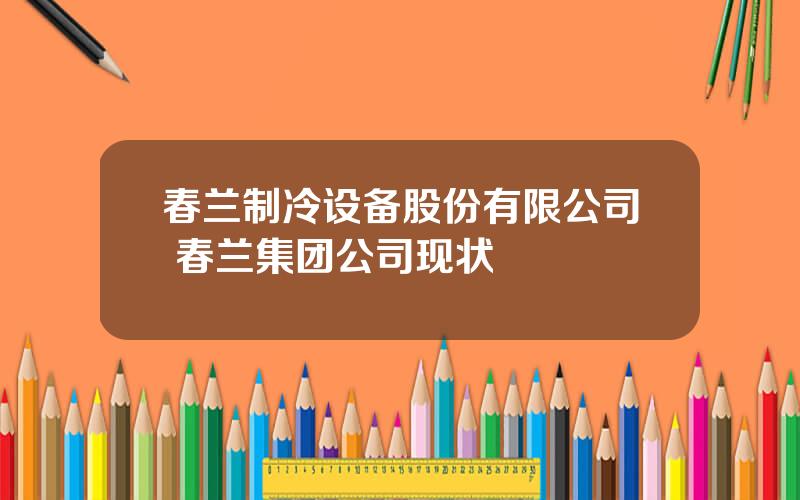 春兰制冷设备股份有限公司 春兰集团公司现状